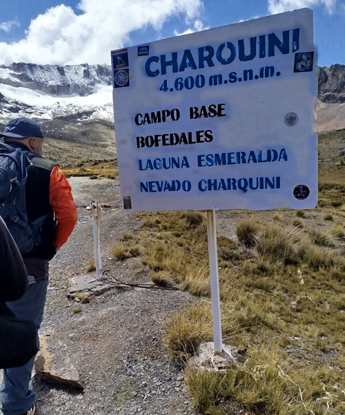 charquini