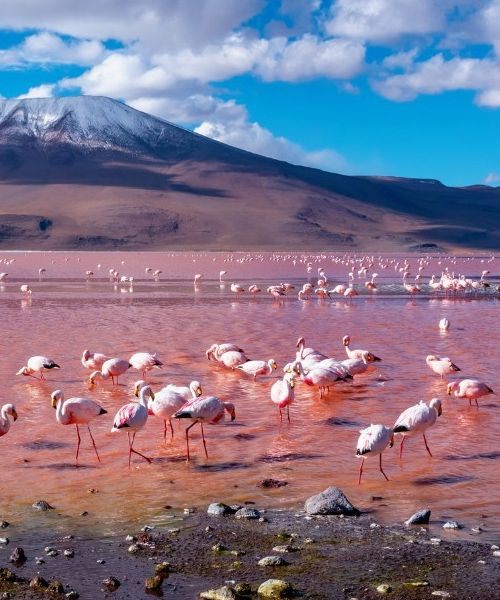 laguna colorada